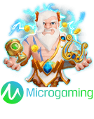 microgaming RW4D